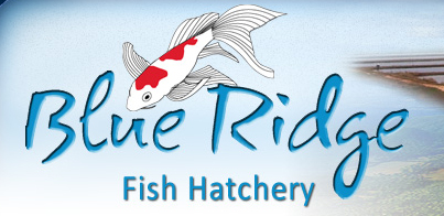 Blue Ridge Fish Hatchery