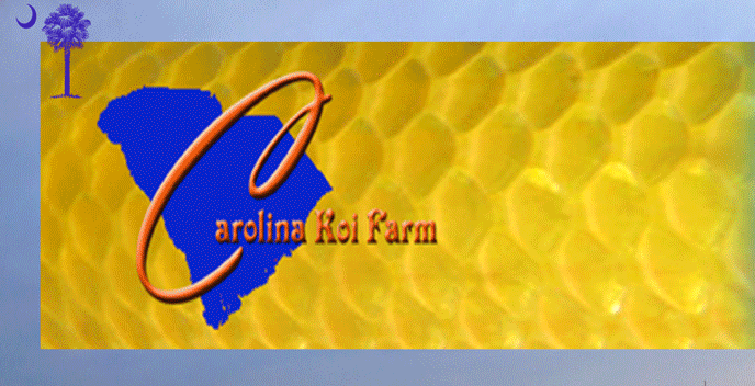 Carolina Koi Farm