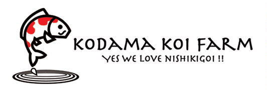 kodama