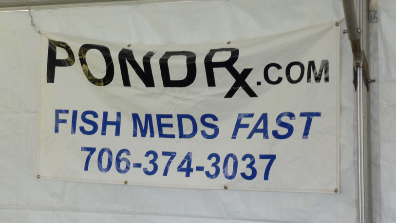 pondrx