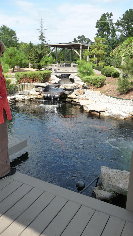 ponds