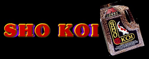 Sho Koi Food